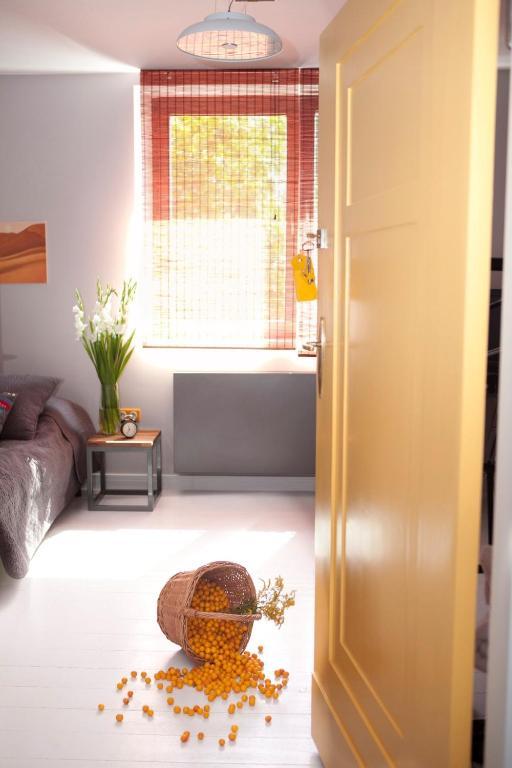 Republika Sloneczna Bed & Breakfast Poznan Ruang foto